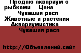 Продаю аквариум с рыбками  › Цена ­ 7 000 - Чувашия респ. Животные и растения » Аквариумистика   . Чувашия респ.